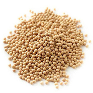 Soja non-OGM, graines de soja - Product Image 2