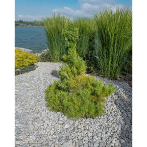 Granulés de Carrara blancs 28-33 mm - 1000 kg en sacs de grande taille - Alimac Srl - Certifié EPD - Fabriqué en Italie - Product Image 1