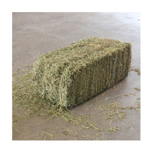 หญ้าอัลฟัลฟ่าแห้ง/อัลฟัลฟ่าอัดก้อนพร้อมส่งออก - Product Image 2