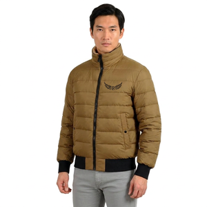 Veste d'hiver pour homme, couleur unie, col montant, fermeture éclair, logo brodé, coupe-vent, décontractée, épaisse, rembourrage en polyester - Product Image 4