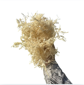 Best Price Premium Golden Eucheuma Cottonii Dried Sea Moss Raw Material Vietnam Export Zip Bag Bulk Wholesale Hot Sale - Product Image 2