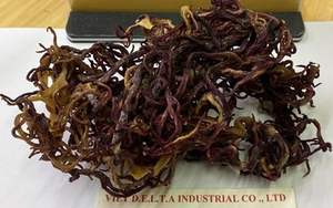Musgo Marino Morado a Precio Económico, Secado al Sol, Eucheuma Cottonii Crudo, Venta al Por Mayor a Granel de Vietnam - Product Image 5
