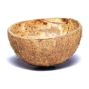 Cáscaras de Coco Secas Trituradas de Grado Industrial, Carbón Activado de Alta Absorción, Suministro a Granel, Vida Útil de 3 Años, Tamil - Product Image 2