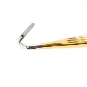 Retractor Quirúrgico Básico Aufricht con Fibra Óptica, Luz LED de Succión, Set Quirúrgico de Acero de Calidad Superior, Certificado CE ISO13485 - Product Image 3