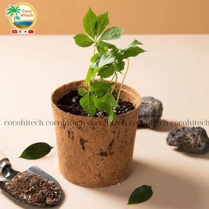Substrato de Coco Premium, Turba de Coco, Fibra de Coco, Medio de Cultivo Natural sin Tierra para Plantas y Agricultura - Product Image 2