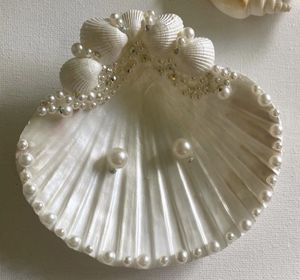 FAVORITO DE LOS CLIENTES 2026 Conchas de Vieira Blancas, Material Limpio para Arte, Manualidades y Decoración de Interiores, Calidad de Exportación Duradera - Product Image 6