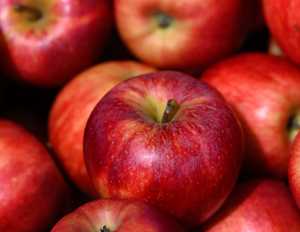 Manzanas Frescas de Primera Calidad, Cosechadas en Granja, Crujientes y Jugosas, Ocean Link Exim para Suministro al por Mayor y Mercados Minoristas Diarios - Product Image 3