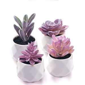 Set di Piante Succulente Artificiali Realistiche Viola con Vasi in Ceramica, Decorazione da Scrivania per Donne - Product Image 1