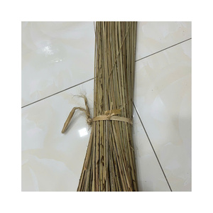Palos de Escoba de Coco Natural de Primera Calidad - Flexibles y Duraderos, Vida Útil de 24 Meses, Uso Multiusos - Product Image 1