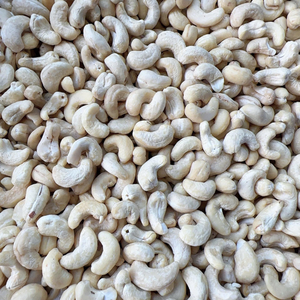 Nueces de Anacardo Crudas al por Mayor Directamente de Fábrica, Ww240 Ww320, Calidad Premium, Santigo Vietnam, con Empaque Personalizado - Product Image 1