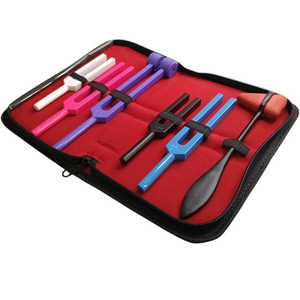 Ensemble de diapasons cliniques en aluminium à 4 canaux avec 5 diapasons et marteau W réglable pour tests médicaux et neurologiques - Product Image 1