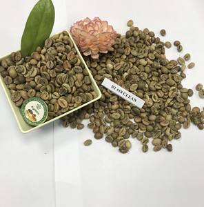 Certified Robusta Green <b>Coffee</b> <b>Beans</b> Vietnam With High Quality <b>Raw</b> Herb Spice Best Price Import Export Ms. Doris +84 352542206 - Product Image 4