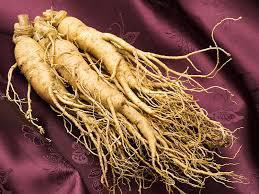 Ngoc Linh Ginseng de alta calidad con un contenido superior de saponina-OEM disponible en Vietnam - Product Image 5