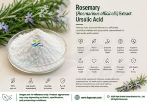 Hgo สารสกัดจากดอกโรสแมรี่ธรรมชาติบริสุทธิ์ (rosarinus officinalis) สารสกัดจากกรด ursolic 95% (สารสกัดมาตรฐาน) - Product Image 2
