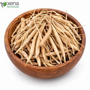Fabricante de Raíz Seca de Asparagus Racemosus, Ingrediente Vegetal Premium, Suministro OEM - Product Image 1