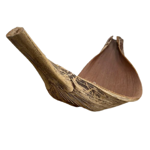 ADVAITH BOAT 1 Coco Plato de Comida en Forma de Barco Botánico Natural, Decoración Única para el Hogar, Soporte para Plantas, Portavelas, Cuenco para Flores Secas - Product Image 1