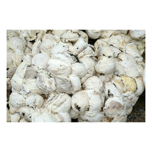 Trozos de Caucho de Alta Calidad, Suministro Premium para Exportación, para Procesadores y Fabricantes Globales de Caucho - Product Image 1