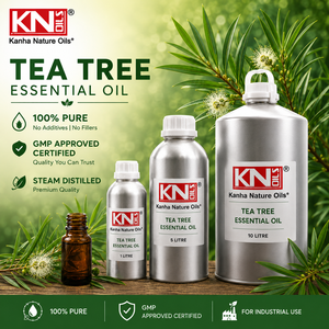 Aceite Esencial de Árbol de Té de Grado Premium, Fabricante a Granel, Melaleuca Alternifolia, Certificado Orgánico, Exportador Global, 100% Puro, Cosmético - Product Image 2