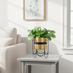 Modern Gold Plated Metal Flower <b>Pot</b> With Circular Wire Stand For Indoor Desktop Planters Minimalist Design - Product Image 5