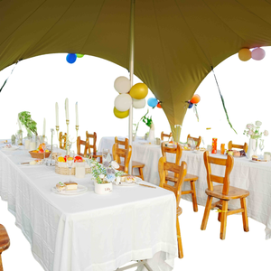 Carpa para Fiestas al Aire Libre para las Cuatro Estaciones con Estructura de Alero Curvo, Tela de Lona, Estructura de Acero, Diseño Impermeable - Product Image 2