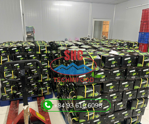 Limones frescos sin semillas de Vietnam con larga vida útil cultivados naturalmente para exportación Ideal para cocinar bebidas y servicio de alimentos - Product Image 1