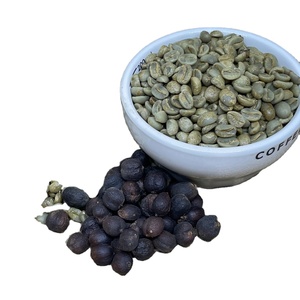 Grains de café vert Arabica spécialité vietnamienne Arabica Catimor grains de café vert traitement naturel nouvelle culture 2023-2024 - Product Image 4