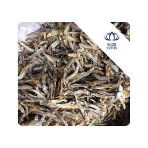 Anchoas secas DISPONIBLES para sopa, caldo, condimento, ingrediente de mariscos utilizado para cocinar sopa de mariscos, Vietnam - Product Image 1