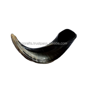 Shofar en corne naturelle, fait main, de couleur et de forme naturelles, excellent pour les usages religieux juifs, style animal marin - Product Image 6