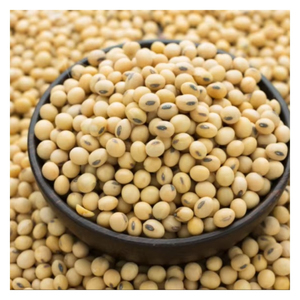 High Quality <b>Soybean</b> Seeds for Farming Non-GMO Planting Seeds High Yield Agricultural Wholesale Bulk Supply Export Supplier - Product Image 1