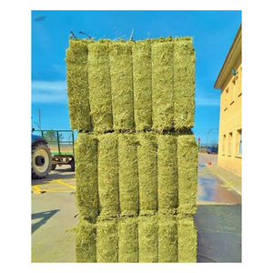 Heno de Alfalfa de Primera Calidad, Alimento para Animales, Heno de Pasto, Proveedor Mayorista para Importadores - Product Image 1