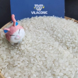 Riz Japonica du Vietnam Vilaconic - 5% de grains cassés - Riz parfumé de haute qualité pour la vente au détail en supermarché - Product Image 1