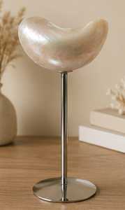 Seashell Martini <b>Glasses</b> Luxury Elegant Long Stem Handmade Trending Valentine's Day Gift Shell Wine <b>Glasses</b> Wedding Bridesmaid - Product Image 2