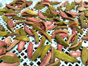 Tranches, morceaux et chips de goyave séchée OEM à prix abordable – Fruits déshydratés de haute qualité |   Goyaves roses séchées douces les plus vendues avec les graines. - Product Image 4
