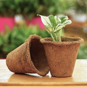 Biodegradable coir pot nursery planting pots <b>coconut</b> husk fiber <b>cup</b> basket garden tool supplies - Product Image 1