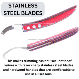 Wholesale Farrier Drop Blade Hoof Knife <b>Equipment</b> Best Tool Wide Blade with Wooden Handle Equine Horse - Product Image 4