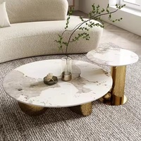 Ensemble de table basse de luxe 2 pièces | Dessus en marbre moderne avec cadre en acier inoxydable doré | Meubles de table de salon élégants