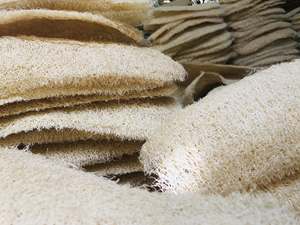 Fabricant OEM de brosses de bain en loofah, vente en gros de gommages corporels naturels en luffa |   Gant exfoliant |   Éponge de douche - Product Image 6