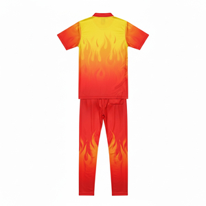 Maillot de cricket sublimé imprimé numériquement, ensemble uniforme de cricket personnalisé pour équipe, vêtements de cricket professionnels anti-humidité - Product Image 3