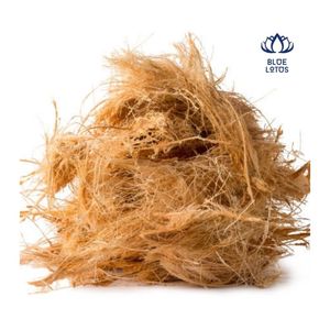 ใยมะพร้าวอัดแท่งราคาส่งถูก ปี 2025 บลูโลตัสฟาร์ม เวียดนาม - Product Image 1