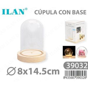 Domo Ilan con Base de 8x14.5 cm para Flores Preservadas - Product Image 3