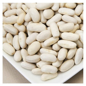 Haricots Blancs de Qualité Supérieure en Gros à Prix Abordable Produit de Haute Qualité Biologique Naturel Produit Agricole Haricots Blancs - Product Image 4