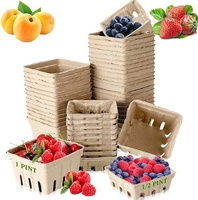Duurzame, geëmbosseerde verpakking van gevormde pulp voor fruit en groenten, geschikt voor de detailhandel en opslag van landbouwproducten.