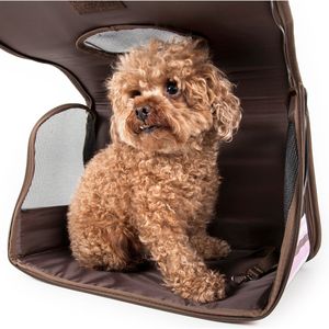 Transportín para Mascotas Deportivo con Cierre, Aprobado por Aerolíneas, Diseño Plegable, Conveniente para Viajar - Product Image 2