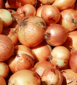 Proveedor y Exportador de Cebolla Roja Orgánica, Venta al Por Mayor, Exportación a Granel desde Austria, 6 Meses de Vida Útil, Alta Calidad, Gran Stock, Envío Rápido - Product Image 1