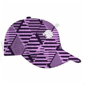 Gorras Deportivas de Alta Calidad en Stock, Gorras Deportivas Hechas Profesionalmente, Logotipo Personalizado 2026, Gorras Deportivas Más Vendidas para Uso en Exteriores - Product Image 2