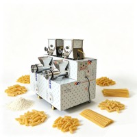 Machine à spaghetti automatique, machine à macaroni, machine à pâtes multifonctionnelle pour la maison, capable de faire des pâtes droites et en spirale
