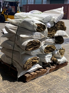 ZY1720 Balai en fibres de palmier naturelles marron, vente en gros, très demandé, manche en bambou de 120 cm, pour usage domestique - Product Image 5