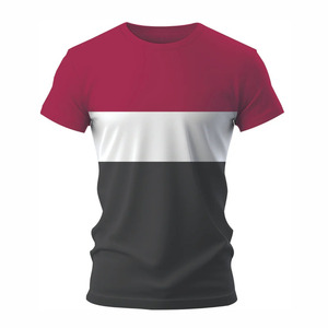 Camiseta Deportiva Ecológica para Hombre, Bordada, de Secado Rápido, Transpirable, para Entrenamiento, Fitness, Deportes, Ropa Deportiva Ligera - Product Image 1