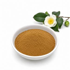 Fournisseur d'ingrédients antioxydants naturels : Poudre d'extrait de Camellia Sinensis, matière première de thé vert de qualité supérieure pour la nutrition fonctionnelle - Product Image 1