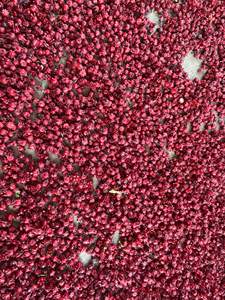 ดอกชบาแห้งสำหรับบริษัทที่รับผลิตบรรจุภัณฑ์ใหม่ และแบรนด์ชาสมุนไพรที่ต้องการส่วนผสมจากธรรมชาติที่แท้จริงจากทรอปิก - Product Image 2